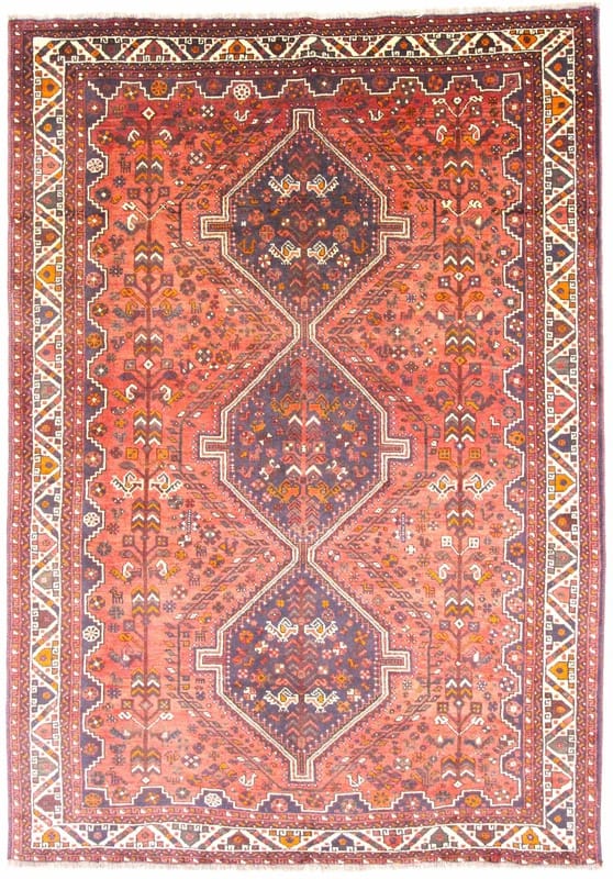 SHIRAZ 300x210 - Image 1