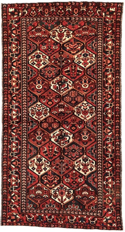 BAKHTIAR Carpet  302x160 - Image 1