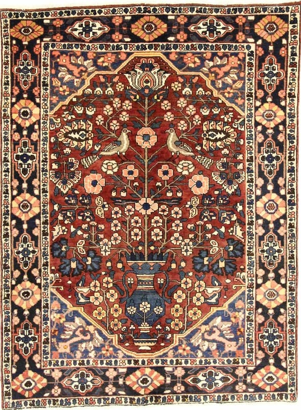 BAKHTIAR 203x153 - Image 1