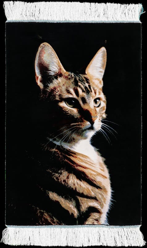 Ghom Katze Teppich  90x60 - Image 1