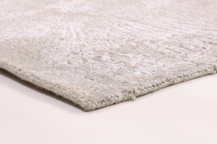 MODERN LOTUS 303x202 - alternate view