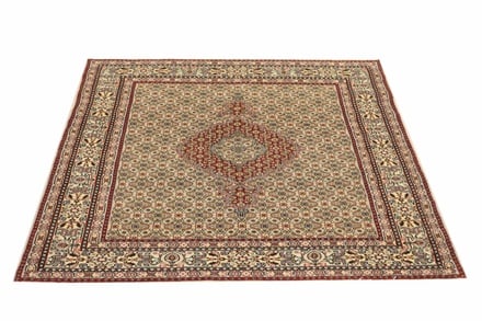 MOUD 190x140 - alternate view