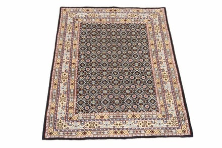 MOUD 113x82 - alternate view