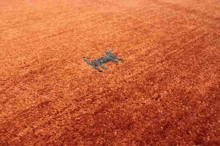 GABBEH 175x124 - alternate view