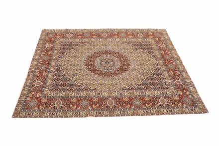 MOUD 199x195 - alternate view