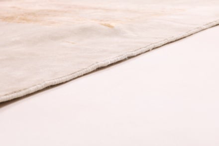 MODERN Lotus Teppich 313x244 - alternate view