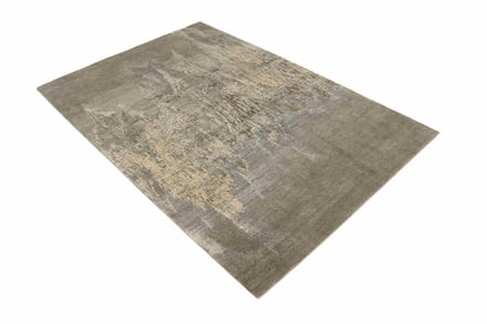 MODERN LOTUS 301x200 - alternate view