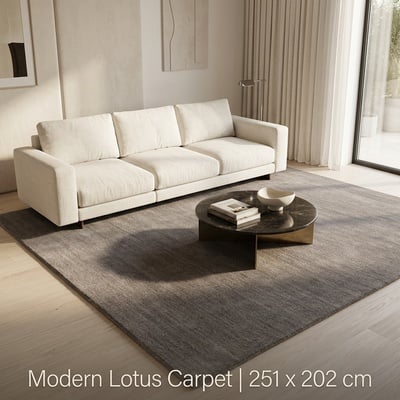 BARBER GREY  Carpet  251x202 - alternate view