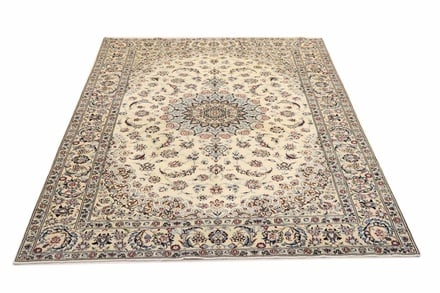 NAIN 310x202 - alternate view