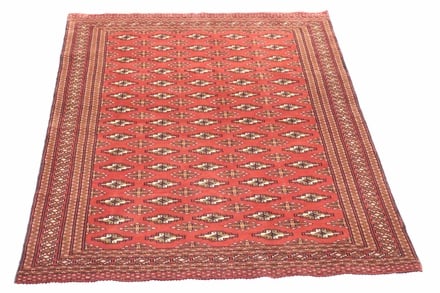 BELUTCH 193x119 - alternate view