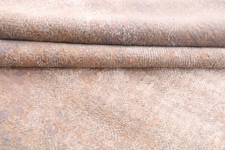 MODERNLOTUS 344x245 - alternate view