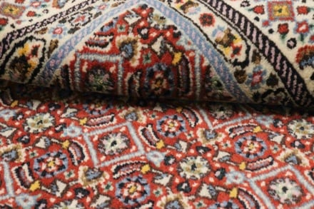 MOUD 115x74 - alternate view