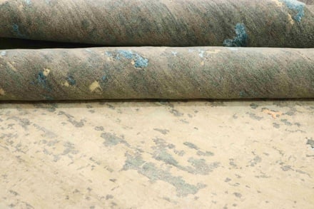 MODERN LOTUS 352x252 - alternate view