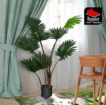 MODERN 244x174 - alternate view