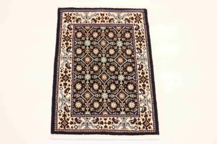 MOUD 59x38 - alternate view