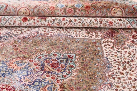 Ghom Daisy  350x250 - alternate view