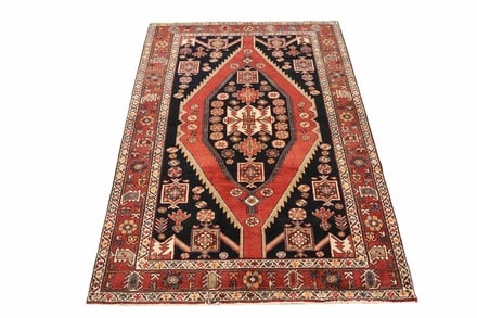 SHAHSAVAN 228x144 - alternate view