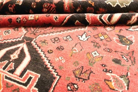 Shiraz 262x183 - alternate view