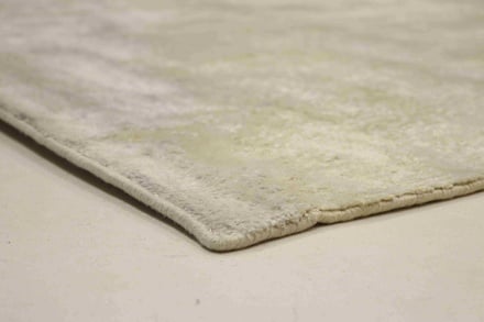 MODERN LOTUS 308x204 - alternate view