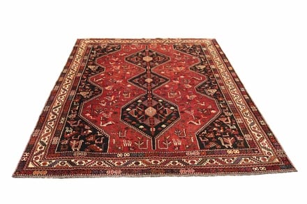 SHIRAZ 311x235 - alternate view