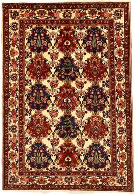 BAKHTIAR Teppich  235x160