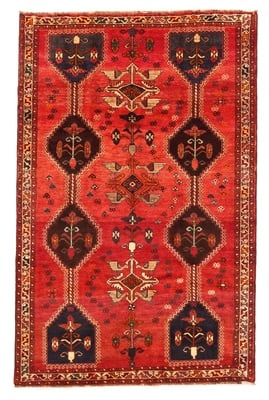 Schiraz 246x160