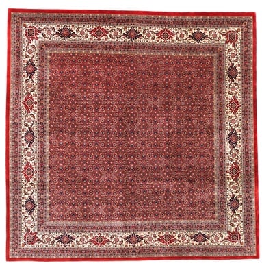 BIDJAR Teppich 252x254