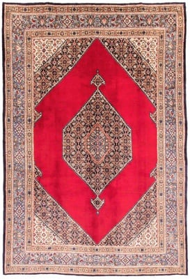 Birjand Teppich 315x210
