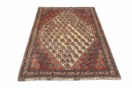 kashkoli  Teppich 247x149 - alternate view