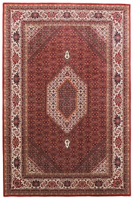 BIDJAR Teppich 310x210