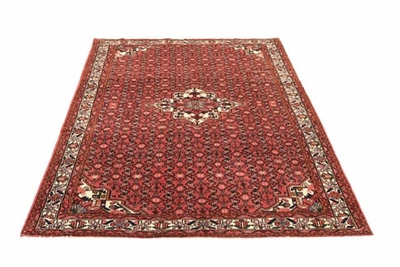 HOSENABAD Carpet 294x195 - alternate view