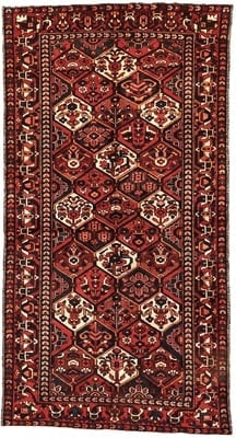 BAKHTIAR Carpet  302x160