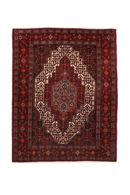 Seneh Teppich165x120 - alternate view