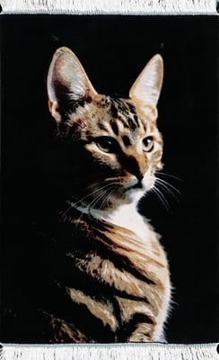 Ghom Katze Teppich  90x60