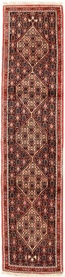 Bidjar  Teppich 255x57