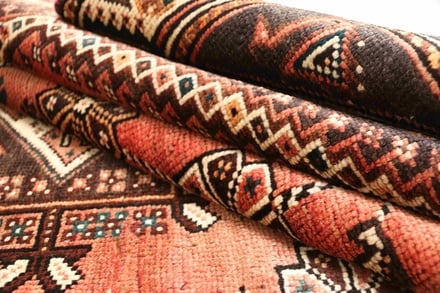 Shiraz 249x159 - alternate view
