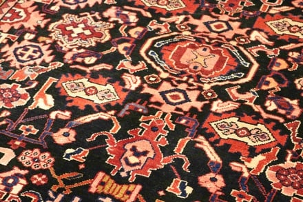 Nanaj Carpet 353x223 - alternate view
