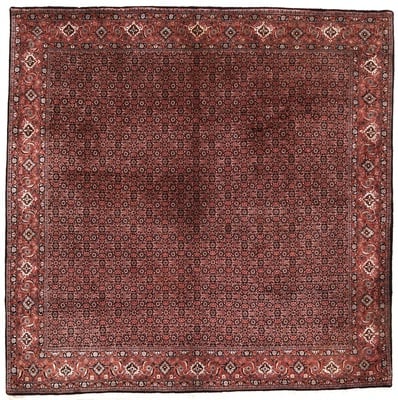 Bidjar Teppich 255x255