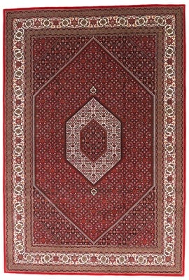 BIDJAR Teppich 302x253