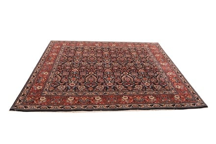 Bidjar Teppich 243x252 - alternate view