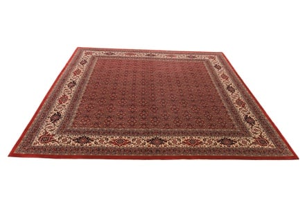 BIDJAR Teppich 252x254 - alternate view