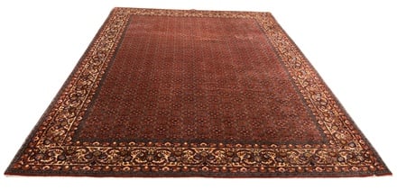 BIDJAR Teppich 343x257 - alternate view