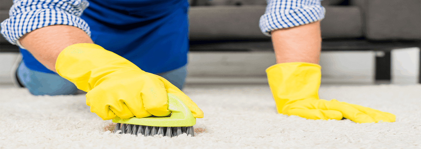 Tipps zur Reinigung von Samt teppiche (Veloursteppichen)-rugeast