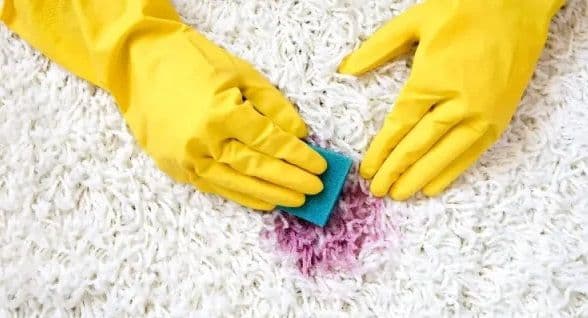 How do I remove stubborn carpet stains?-rugeast