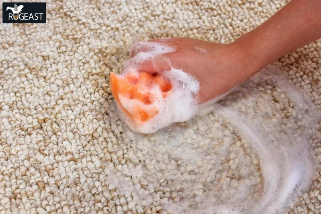Haartönung aus Teppich entfernen - rugeast