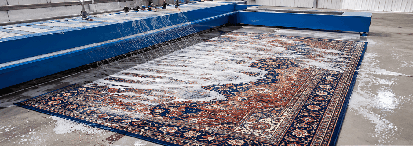 The Ultimate Guide to Carpet Cleaning - rugeast