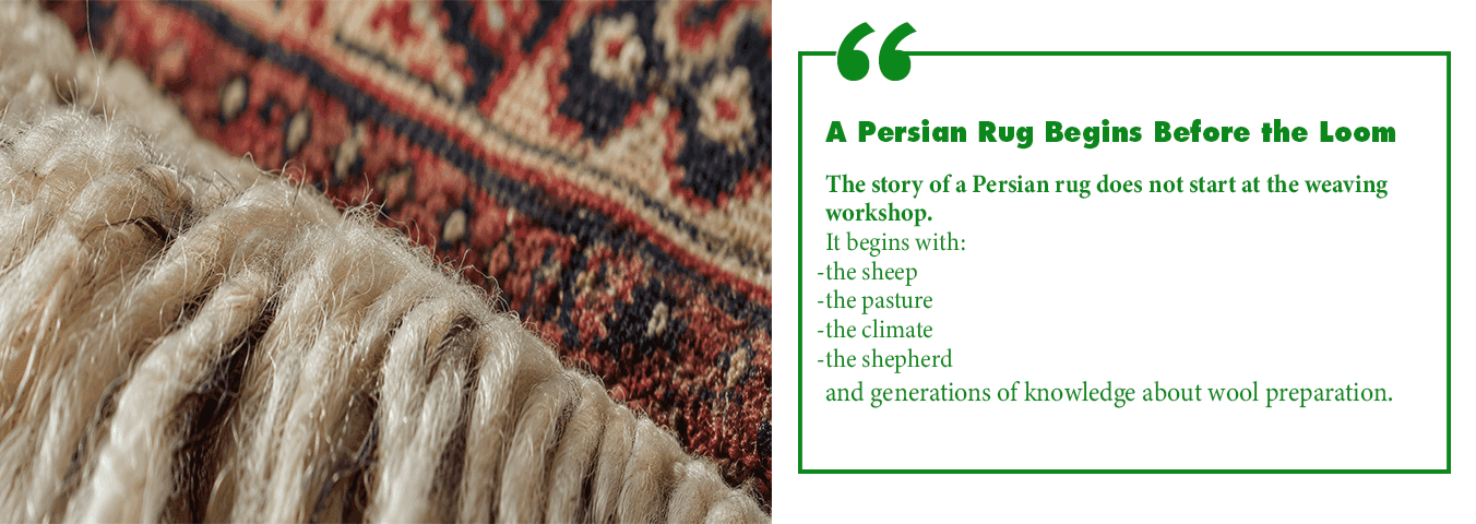 The Science of Persian Rug Wool - Rugeast