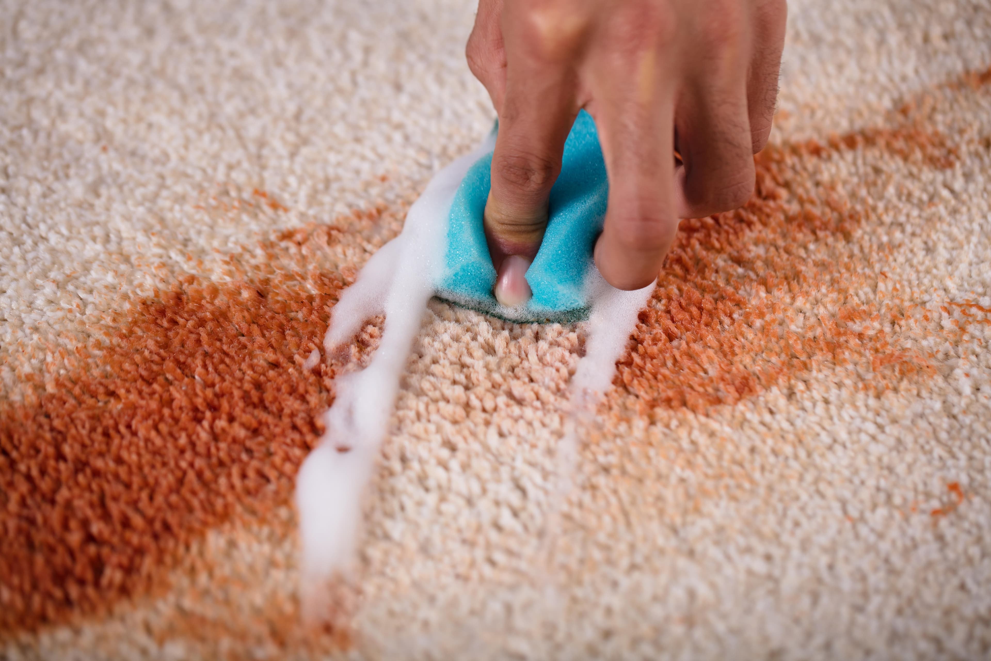 Why do carpet stains and odors reappear and how can they be remedied?-rugeast
