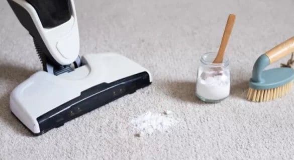 Why do carpet stains and odors reappear and how can they be remedied?-rugeast