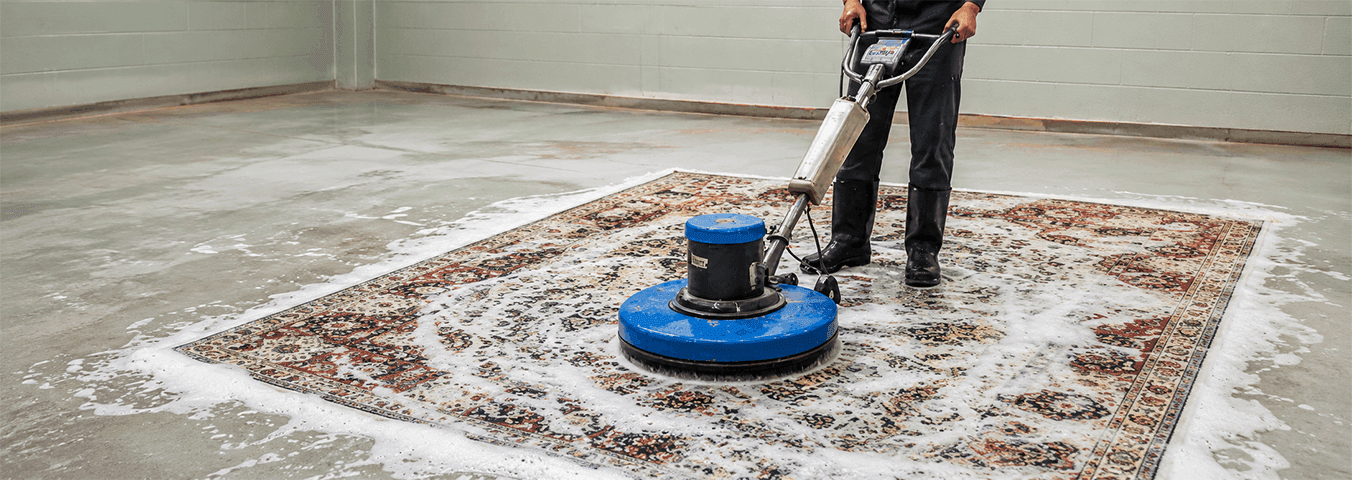 The Ultimate Guide to Carpet Cleaning - rugeast